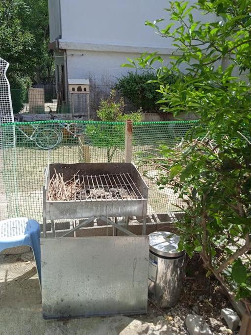Το Μικρό Σπίτι Στη Φάρμα! Apartment Акарнаи Екстериор снимка