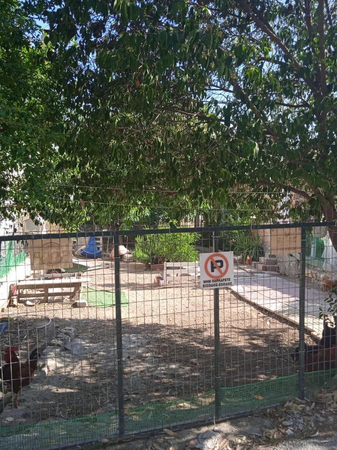 Το Μικρό Σπίτι Στη Φάρμα! Apartment Акарнаи Екстериор снимка