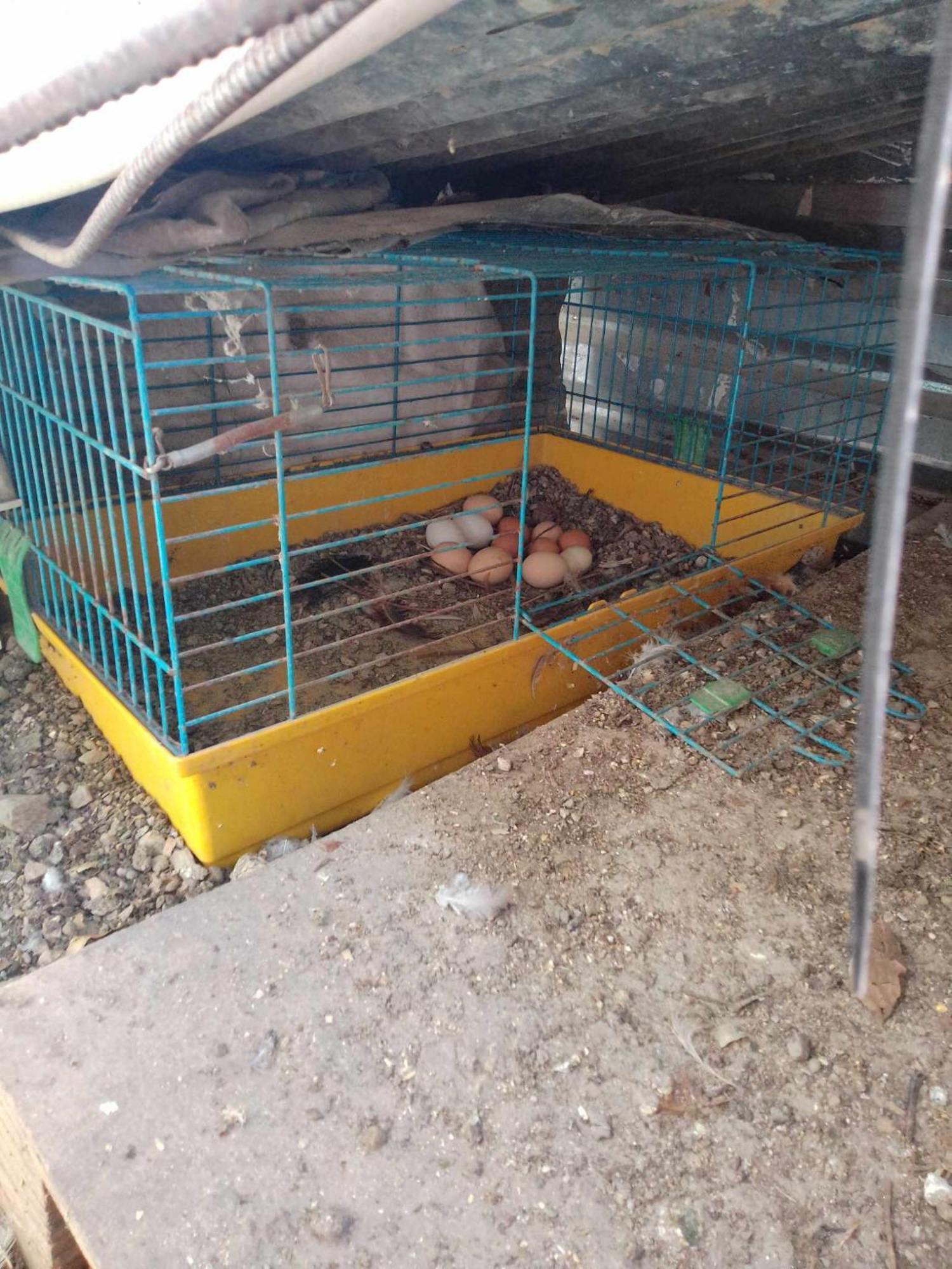 Το Μικρό Σπίτι Στη Φάρμα! Apartment Акарнаи Екстериор снимка